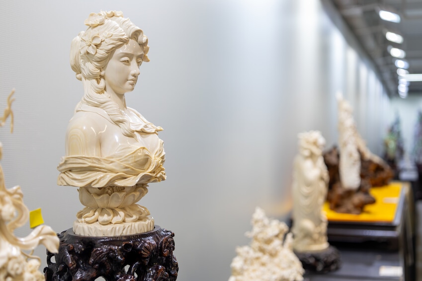 1773735267854172.jpg IMG_5500-已增强-降噪.jpg