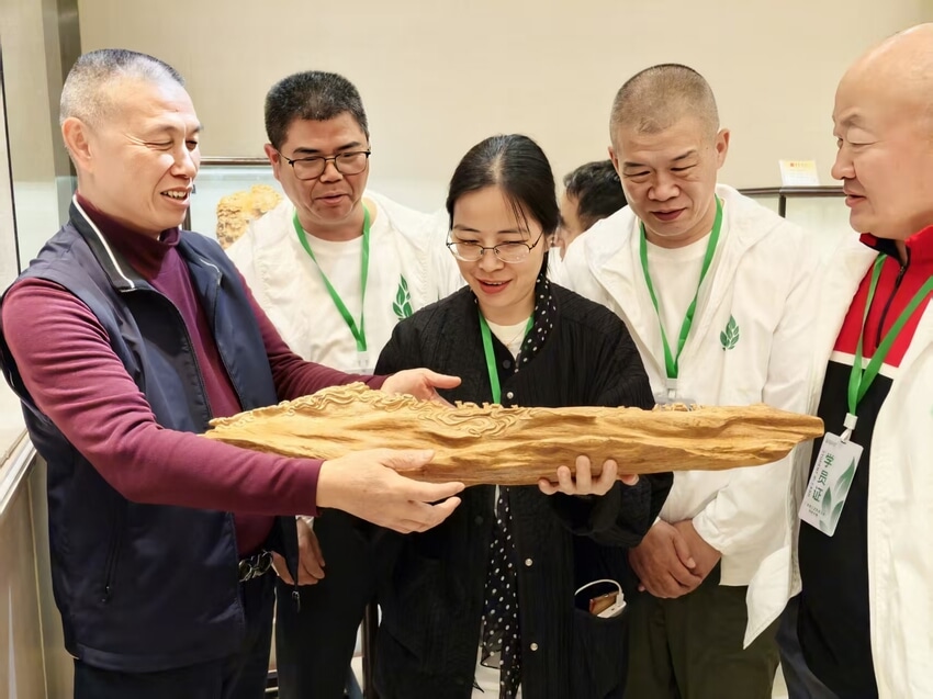1778143103271868.jpg 微信图片_20260327161417_288_17.jpg